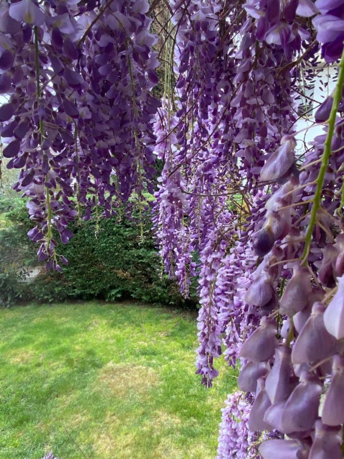 B&B Fior Di Toscana セッラヴァッレ・ピストイエーゼ エクステリア 写真